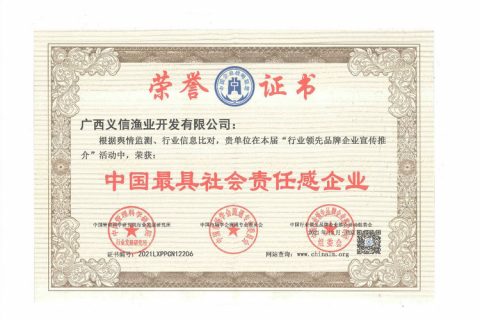 企业荣誉