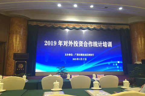 广西壮族自治区商务厅2019年对外投资合作统计培训